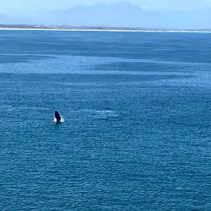 Apartment Whale's Tale, Fish Hoek